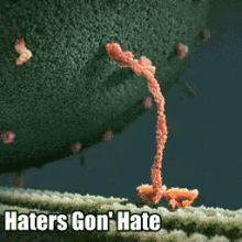 haters molecule science