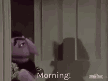 Morning Good GIF - Morning Good Sesame GIFs