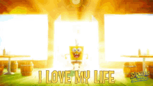 I Love My Life Spongebob Squarepants GIF - I Love My Life Spongebob Squarepants The Spongebob Movie GIFs