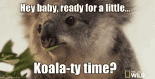 Koala-ly Time GIF - Pickuplines GIFs