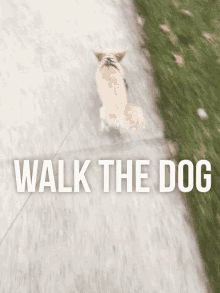 Walk The Dog Walking GIF - Walk The Dog Dog Walking GIFs