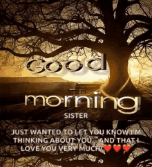 Good Morning Good Day GIF - Good Morning Good Day Tree GIFs