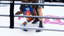 Nate Robinson Boxing Nate Robinson Knocked Out GIF - Nate Robinson Boxing Nate Robinson Nate Robinson Knocked Out GIFs