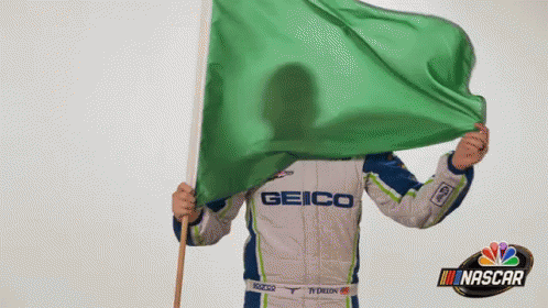 Surprise Flag GIF - Surprise Flag Green Flag - Discover & Share GIFs