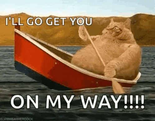 Fat Cat Row Boat Gif Fat Cat Row Boat Fat Discover Share Gifs