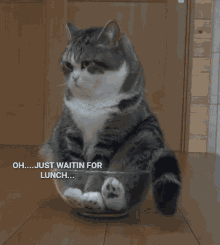 Lunch Funny GIF - Lunch Funny Waiting To Eat GIFs