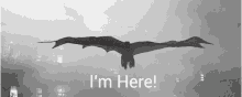 Batman Flying GIF - Batman Flying Im Here GIFs