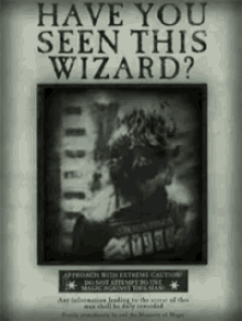 Sirius Black GIF - Sirius Black Harry Potter Wizard GIFs