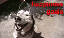 Happiness Goals GIF - Happiness Goals Relax Relaxing GIFs
