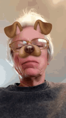 Doggie Snapchat GIF - Doggie Snapchat Dog Filter GIFs