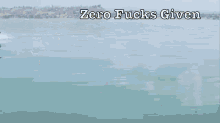 Zero Fucks Given GIF - Zerofucks Jetski GIFs