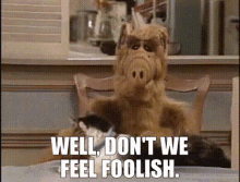 Alf Well Dont We Feel Foolish GIF - Alf Well Dont We Feel Foolish Foolish GIFs