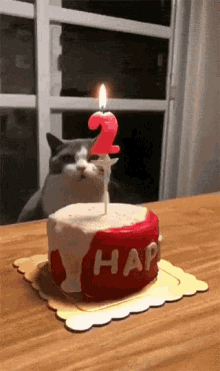 Happy Birthday Cat GIF - Happy Birthday Cat Blow GIFs