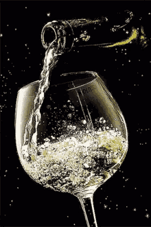 Champagne Celebrate GIF - Champagne Celebrate Alcohol GIFs