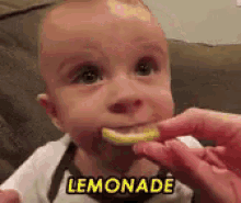 Lemonade Baby GIF - Lemonade Baby Sour GIFs