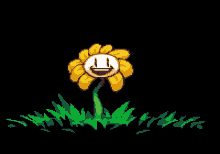 flower smile dance sunflower happy
