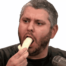 ethan klein h3podcast h3h3 deepthroat ethan klein h3podcast h3h3 deepthroat