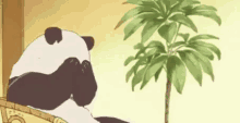 Imbarazzo Imbarazzato Imbarazzata Timido Timida Non Voglio Panda GIF - Embarassed Shy Panda GIFs