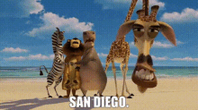 Madagascar Melman GIF - Madagascar Melman San Diego GIFs