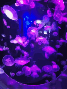 Glow Jellyfish GIF - Glow Jellyfish GIFs