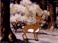 looney tunes deer pretty girl looney tunes deer pretty girl