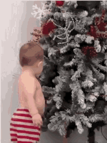 Christmas Tree Kid GIF - Christmas Tree Christmas Kid GIFs