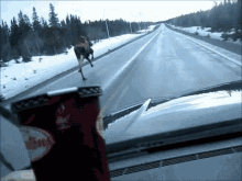 Moose Slip GIF - Moose Slip Fall GIFs