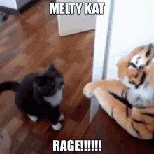 Meltykat Meltykat Rage GIF - Meltykat Meltykat Rage Rage GIFs
