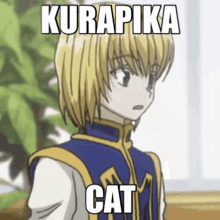 Kurapika Kurapika Cat GIF - Kurapika Kurapika Cat GIFs