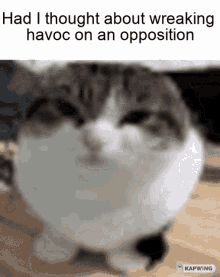Had I Thought About Wreaking Havoc On An Opposition Enemy GIF - Had I Thought About Wreaking Havoc On An Opposition Enemy GIFs