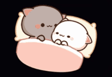 cuddle love