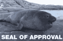 Approval GIF - Approval GIFs