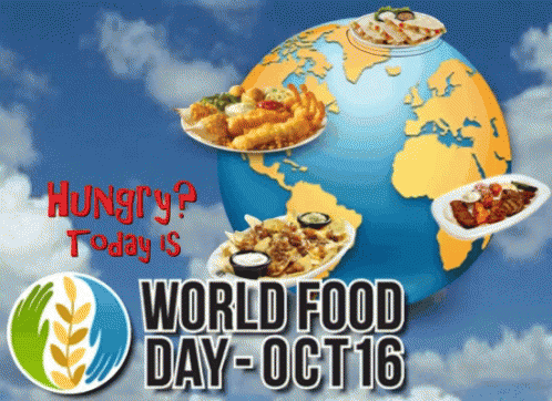 World Food Day October16 GIF - World Food Day October16 World Hunger -  Discover & Share GIFs