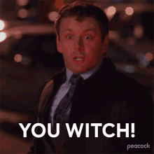 You Witch Wesley Snipes GIF - You Witch Wesley Snipes Michael Sheen GIFs