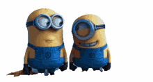 minions transparent laughing despicable me minions transparent laughing despicable me