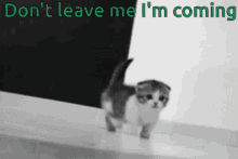 Dont Leave Me I Am GIF - Dont Leave Me I Am Coming GIFs