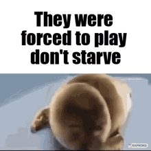 They Were Forced To Play GIF - They Were Forced To Play Dont Starve GIFs
