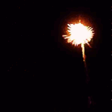 fireworks celebrate new years eve