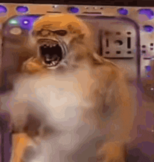RAAAAAAAAH