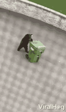 taking out trash viralhog bear moving the garbage away take the garbage out