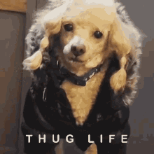 thug dog life krissy thug life