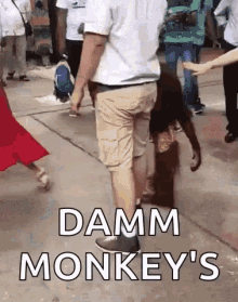 Funny Touch GIF - Funny Touch Monkey GIFs