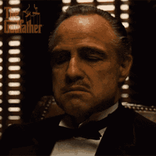 That I Cannot Do Don Vito Corleone GIF - That I Cannot Do Don Vito Corleone Marlon Brando GIFs