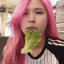 Hachubby Chewing GIF - Hachubby Chewing Leaf GIFs