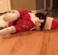 Cat Cats GIF - Cat Cats Christmas GIFs