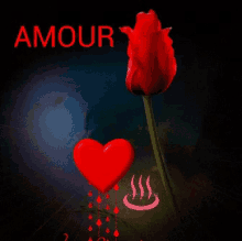 Amour Rose GIF - Amour Rose Heart GIFs