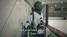 Do You Know Who I Am GIF - Hockey Ref Get In The Box GIFs