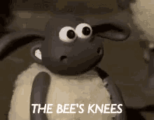 The Bee'S Knees GIF - Bees Knees GIFs
