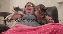 Cats Alone GIF - Cats Alone Dyingalonewithcats GIFs
