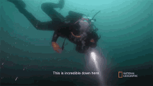 This Is Incredible Down Here Albert Lin GIF - This Is Incredible Down Here Albert Lin National Geographic GIFs
